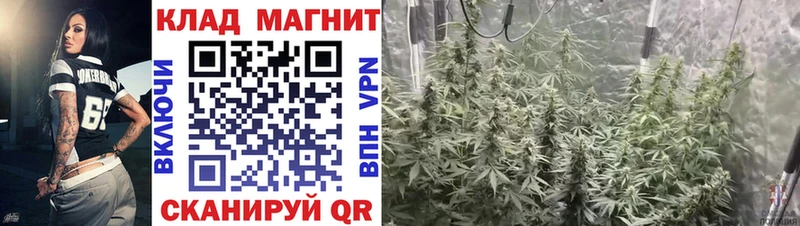 Виды наркотиков купить Кораблино ГАШ  Каннабис  КОКАИН  МЕФ 