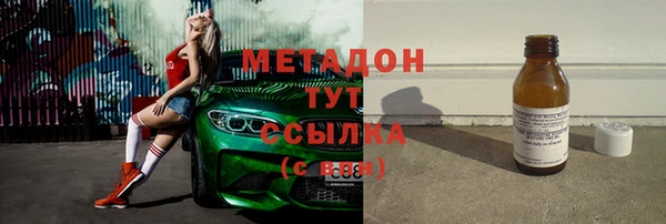 прущие грибы Лабытнанги