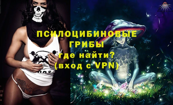 ПСИЛОЦИБИНОВЫЕ ГРИБЫ Абаза