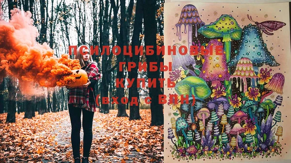 дмт Абинск