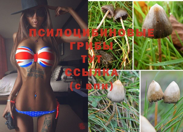 каннабис Алексеевка
