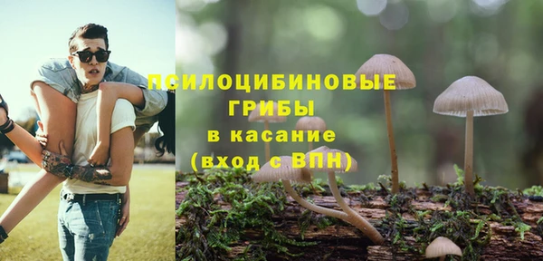 ПСИЛОЦИБИНОВЫЕ ГРИБЫ Абаза