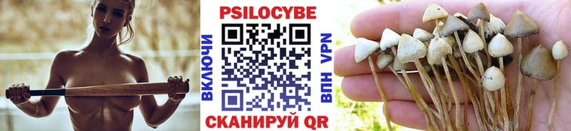 дарнет шоп  это формула  Псилоцибиновые грибы Psilocybine cubensis  Кораблино 