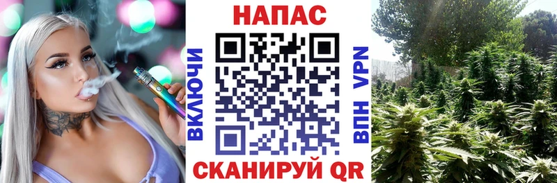 кракен ONION  Кораблино  Конопля план 